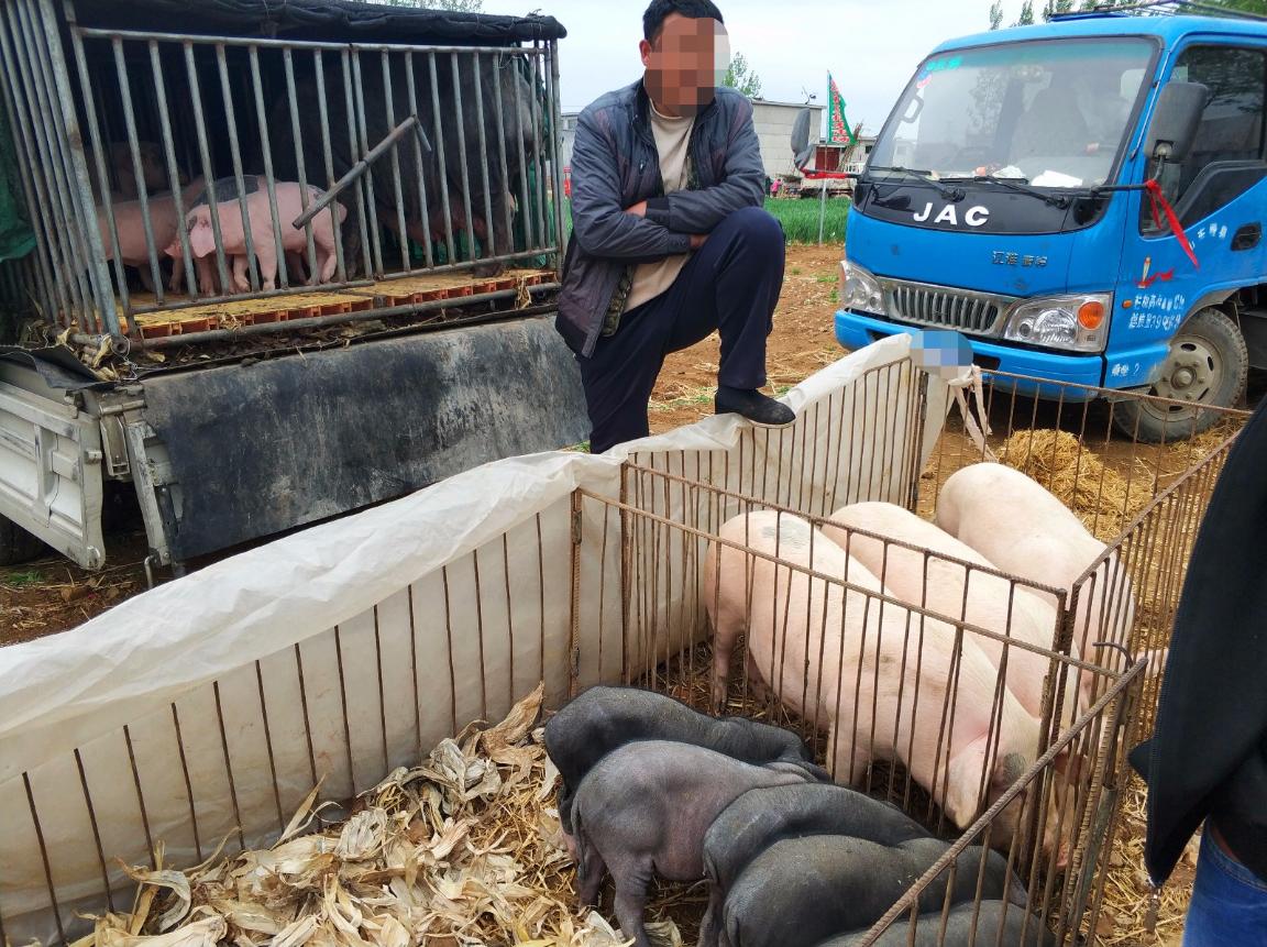 �i��r����mƫ��